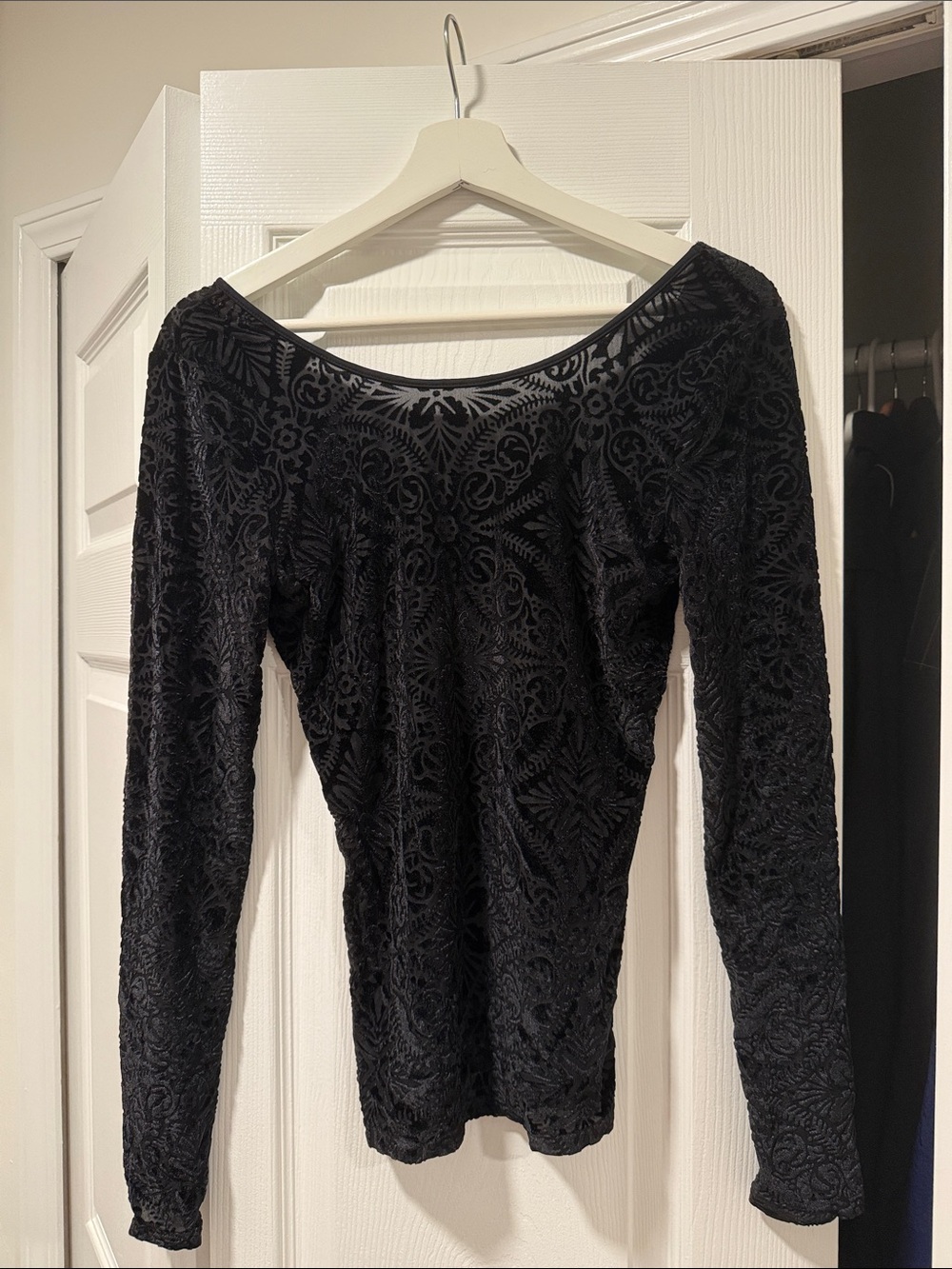 hinge Black Velvet Burnout Long-Sleeve Dress Top